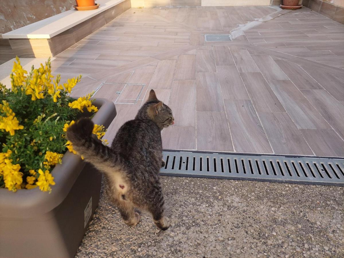 B&B Villa La Ginestra Boscoreale Eksteriør billede